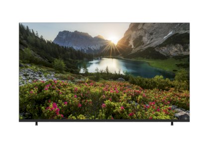 ტელევიზორი TV 43