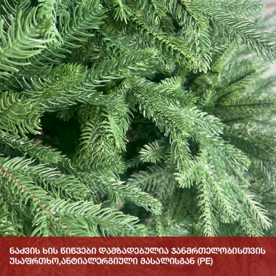 ნაძვის ხე მადრიდი 180 სმ (LS-180)