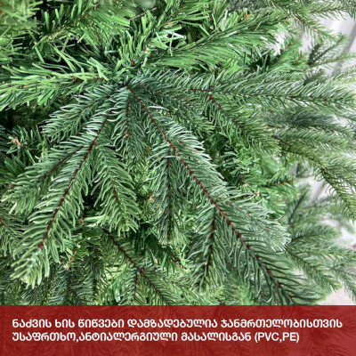 ნაძვის ხე ტალინი 180 სმ (DS-180)