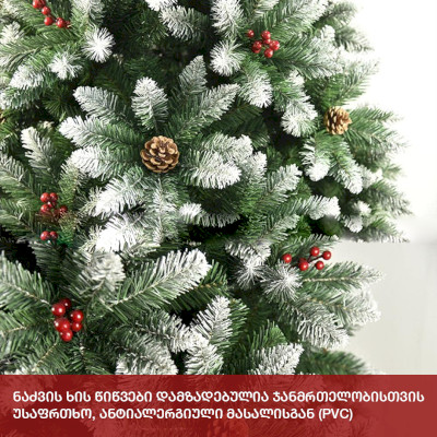 ნაძვის ხე პრაღა 200 სმ (CS-200)