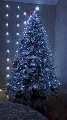 ნაძვის ხე 604 - 270სმ