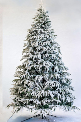 ნაძვის ხე 604 - 270სმ